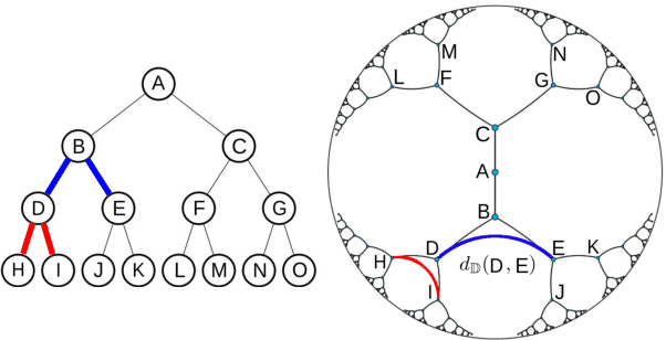 Figure 1 for A Fully Hyperbolic Neural Model for Hierarchical Multi-Class Classification