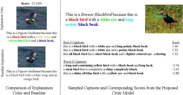 Figure 2 for Grounding Visual Explanations (Extended Abstract)