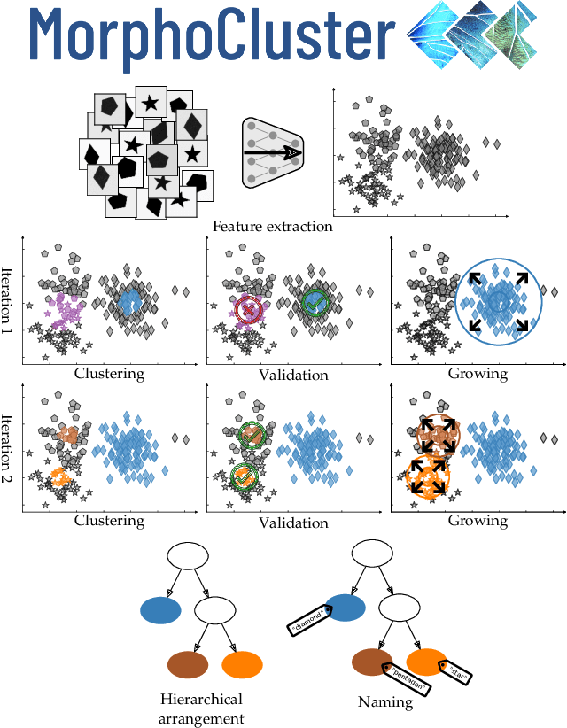 Figure 1 for MorphoCluster: Efficient Annotation of Plankton images by Clustering