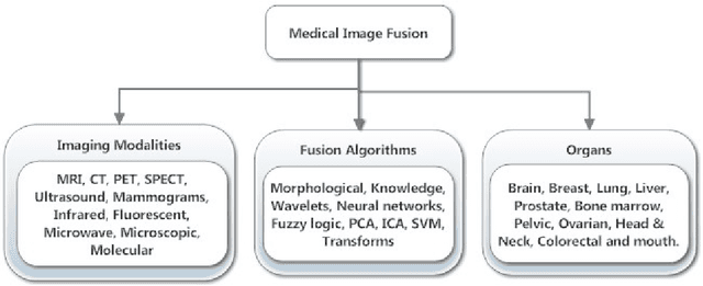 Figure 3 for Medical Image Fusion: A survey of the state of the art