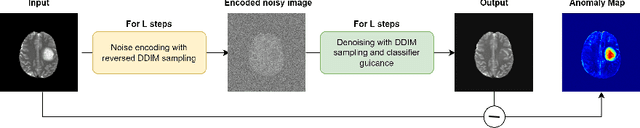 Figure 1 for Diffusion Models for Medical Anomaly Detection