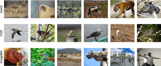 Figure 2 for Zero-shot Learning with Deep Neural Networks for Object Recognition