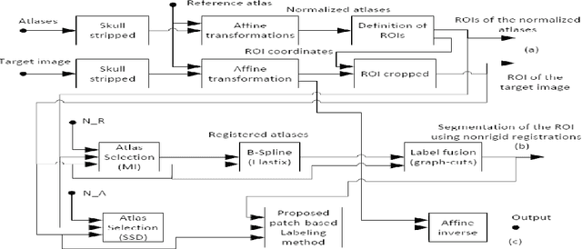 Figure 1 for Combining patch-based strategies and non-rigid registration-based label fusion methods