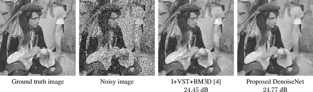 Figure 1 for Deep Convolutional Denoising of Low-Light Images