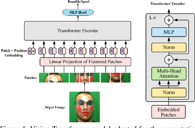 Figure 1 for On the Effectiveness of Vision Transformers for Zero-shot Face Anti-Spoofing