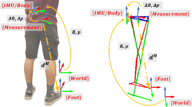 Figure 1 for Design and Evaluation of an Invariant Extended Kalman Filter for Trunk Motion Estimation with Sensor Misalignment