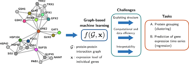 Figure 1 for Graph signal processing for machine learning: A review and new perspectives