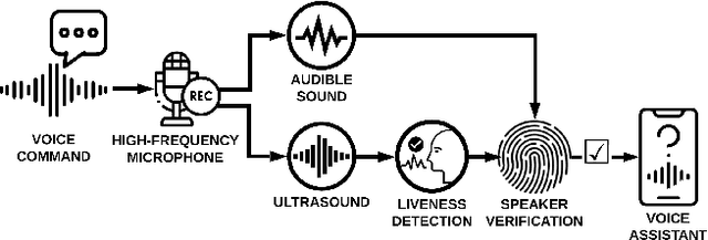 Figure 1 for SuperVoice: Text-Independent Speaker Verification Using Ultrasound Energy in Human Speech