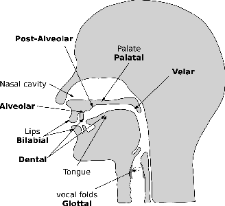 Figure 3 for SuperVoice: Text-Independent Speaker Verification Using Ultrasound Energy in Human Speech