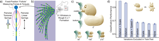 Figure 2 for Toward Goal-Driven Neural Network Models for the Rodent Whisker-Trigeminal System