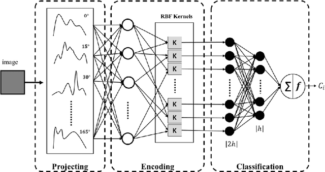 Figure 1 for Projectron -- A Shallow and Interpretable Network for Classifying Medical Images