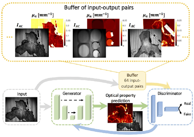 Figure 1 for GANPOP: Generative Adversarial Network Prediction of Optical Properties from Single Snapshot Wide-field Images