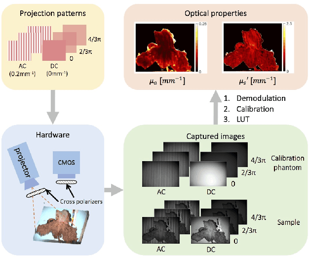 Figure 4 for GANPOP: Generative Adversarial Network Prediction of Optical Properties from Single Snapshot Wide-field Images