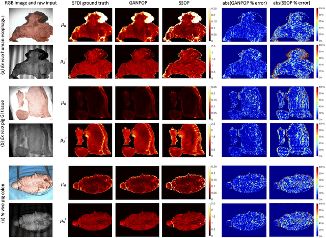 Figure 3 for GANPOP: Generative Adversarial Network Prediction of Optical Properties from Single Snapshot Wide-field Images