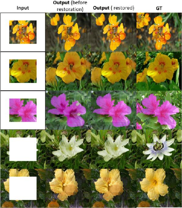 Figure 3 for Image Completion and Extrapolation with Contextual Cycle Consistency