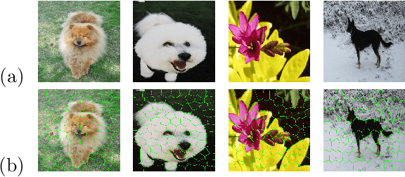 Figure 1 for Salient Object Detection by LTP Texture Characterization on Opposing Color Pairs under SLICO Superpixel Constraint