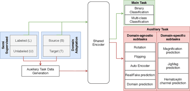 Figure 1 for Self-Path: Self-supervision for Classification of Pathology Images with Limited Annotations