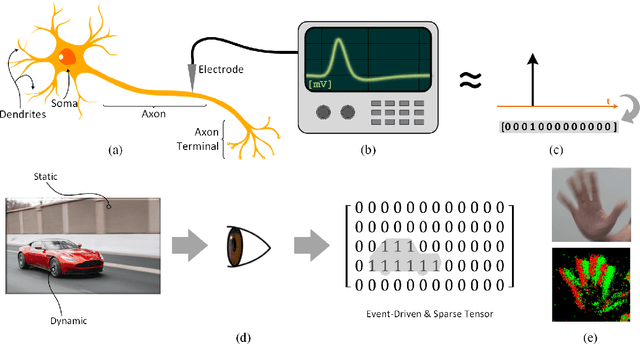 Figure 3 for Training Spiking Neural Networks Using Lessons From Deep Learning