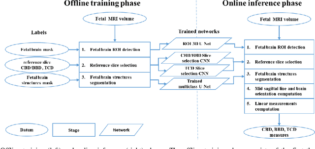 Figure 3 for Automatic linear measurements of the fetal brain on MRI with deep neural networks