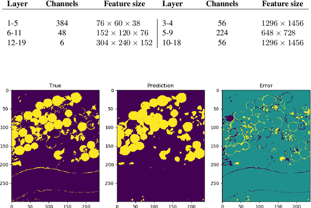 Figure 3 for Fully reversible neural networks for large-scale surface and sub-surface characterization via remote sensing