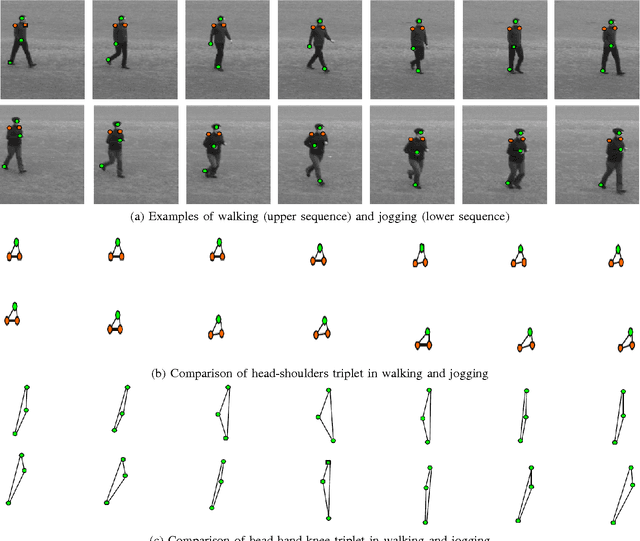 Figure 2 for An Invariant Model of the Significance of Different Body Parts in Recognizing Different Actions
