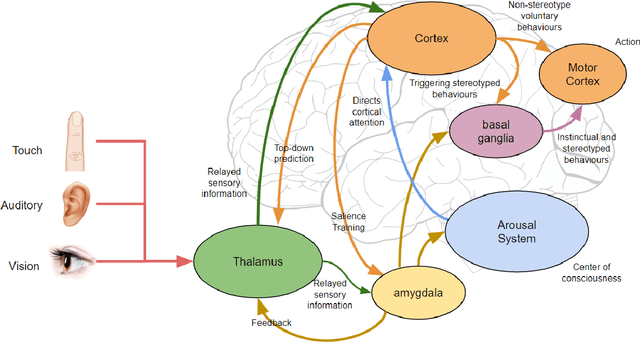 Figure 1 for Brain-inspired Distributed Cognitive Architecture