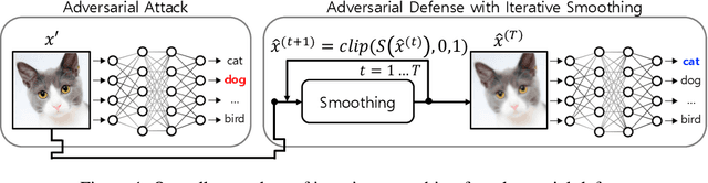 Figure 1 for Self-Supervised Iterative Contextual Smoothing for Efficient Adversarial Defense against Gray- and Black-Box Attack