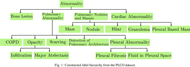 Figure 1 for Deep Hiearchical Multi-Label Classification Applied to Chest X-Ray Abnormality Taxonomies