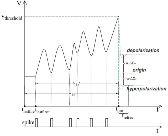 Figure 2 for BioSNet: A Fast-Learning and High-Robustness Unsupervised Biomimetic Spiking Neural Network