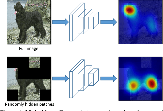 Figure 1 for Hide-and-Seek: Forcing a Network to be Meticulous for Weakly-supervised Object and Action Localization