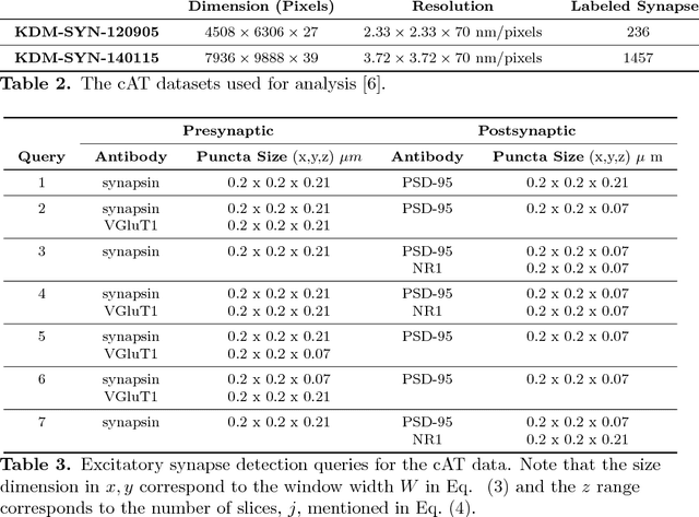 Figure 4 for Probabilistic Fluorescence-Based Synapse Detection