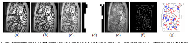 Figure 2 for Secured Cryptographic Key Generation From Multimodal Biometrics: Feature Level Fusion of Fingerprint and Iris