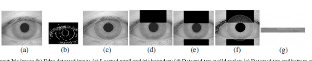 Figure 3 for Secured Cryptographic Key Generation From Multimodal Biometrics: Feature Level Fusion of Fingerprint and Iris