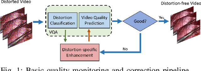 Figure 1 for End-to-End Blind Quality Assessment for Laparoscopic Videos using Neural Networks