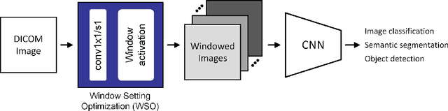Figure 3 for Practical Window Setting Optimization for Medical Image Deep Learning