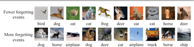 Figure 1 for Unified Regularity Measures for Sample-wise Learning and Generalization