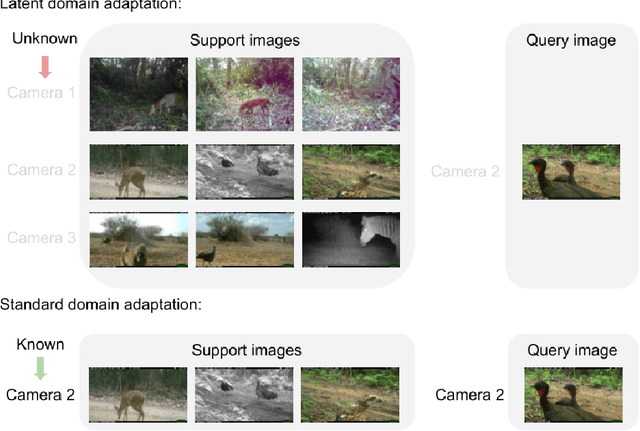 Figure 1 for Feed-Forward Source-Free Latent Domain Adaptation via Cross-Attention