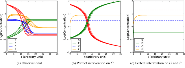 Figure 4 for From Random Differential Equations to Structural Causal Models: the stochastic case