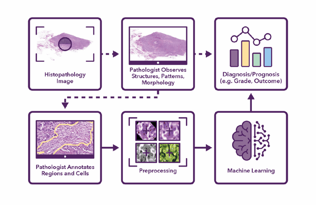 Figure 1 for Semantic annotation for computational pathology: Multidisciplinary experience and best practice recommendations