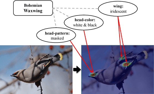 Figure 1 for Knowledge-Embedded Representation Learning for Fine-Grained Image Recognition