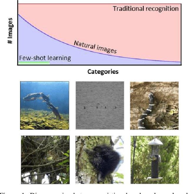 Figure 1 for Few-Shot Learning with Localization in Realistic Settings