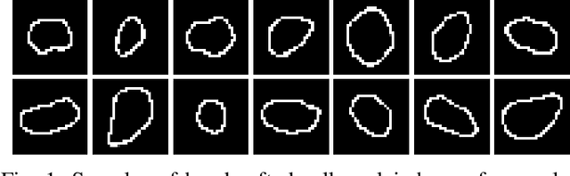 Figure 1 for Prior Information Guided Regularized Deep Learning for Cell Nucleus Detection