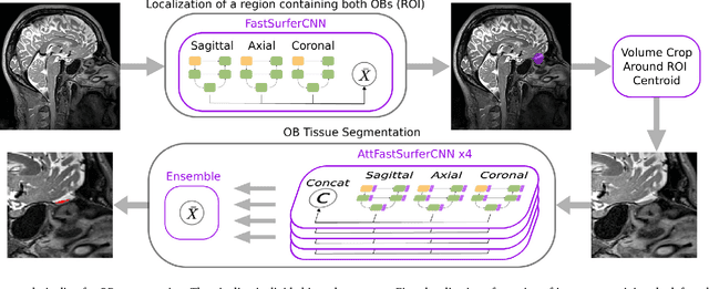 Figure 3 for Automated Olfactory Bulb Segmentation on High Resolutional T2-Weighted MRI