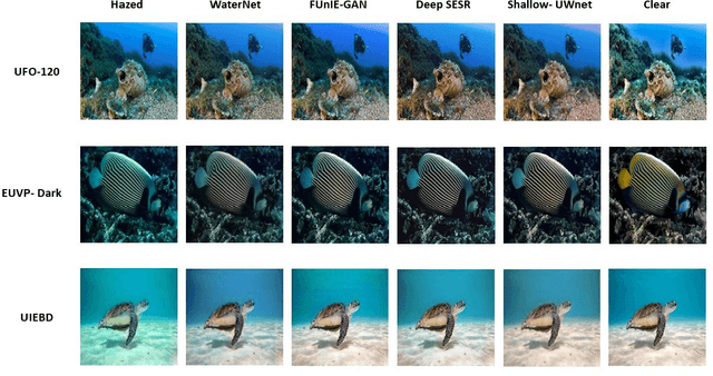 Figure 4 for Shallow-UWnet : Compressed Model for Underwater Image Enhancement
