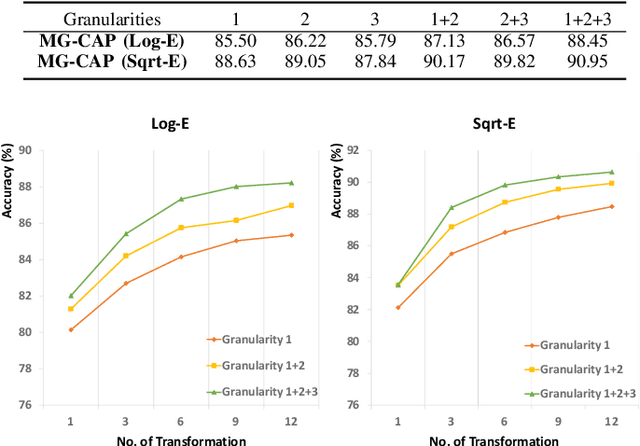 Figure 4 for Multi-Granularity Canonical Appearance Pooling for Remote Sensing Scene Classification