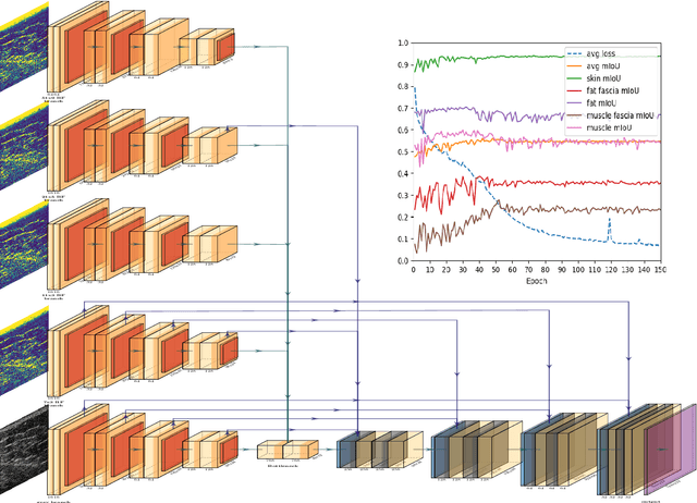 Figure 1 for W-Net: Dense Semantic Segmentation of Subcutaneous Tissue in Ultrasound Images by Expanding U-Net to Incorporate Ultrasound RF Waveform Data