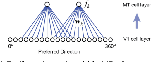 Figure 2 for Information-theoretic interpretation of tuning curves for multiple motion directions