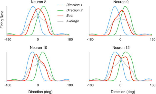 Figure 4 for Information-theoretic interpretation of tuning curves for multiple motion directions