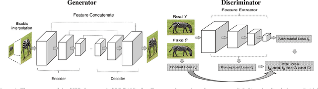 Figure 1 for SRPGAN: Perceptual Generative Adversarial Network for Single Image Super Resolution