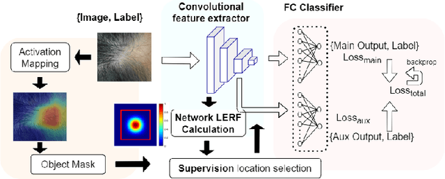 Figure 1 for Data-Driven Deep Supervision for Skin Lesion Classification